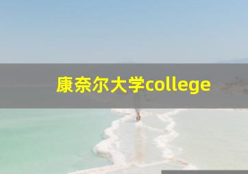 康奈尔大学college