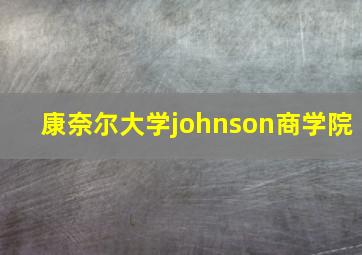 康奈尔大学johnson商学院