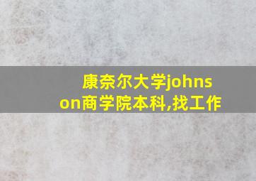 康奈尔大学johnson商学院本科,找工作