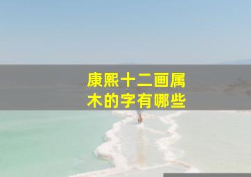 康熙十二画属木的字有哪些