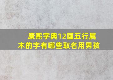 康熙字典12画五行属木的字有哪些取名用男孩