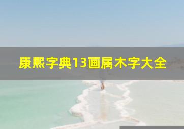 康熙字典13画属木字大全