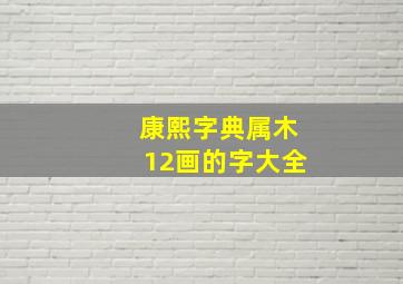 康熙字典属木12画的字大全