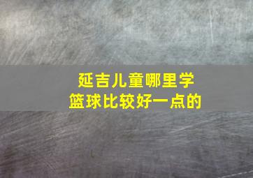 延吉儿童哪里学篮球比较好一点的