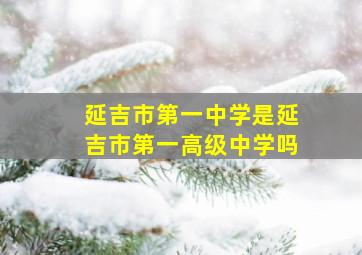 延吉市第一中学是延吉市第一高级中学吗