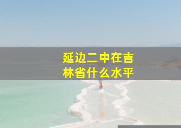 延边二中在吉林省什么水平