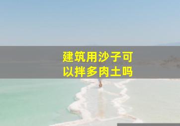 建筑用沙子可以拌多肉土吗