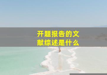 开题报告的文献综述是什么