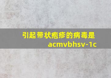 引起带状疱疹的病毒是acmvbhsv-1c