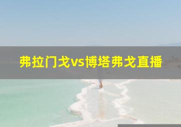 弗拉门戈vs博塔弗戈直播