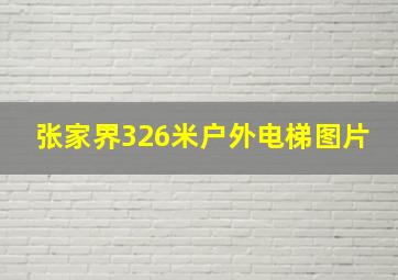 张家界326米户外电梯图片