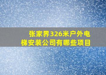 张家界326米户外电梯安装公司有哪些项目