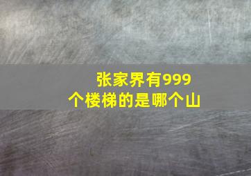 张家界有999个楼梯的是哪个山