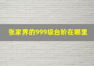 张家界的999级台阶在哪里