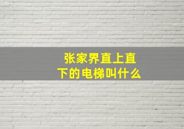 张家界直上直下的电梯叫什么