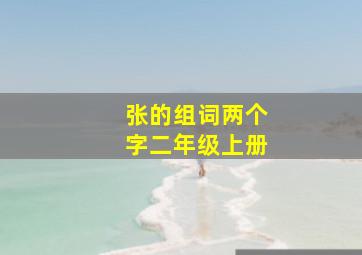 张的组词两个字二年级上册