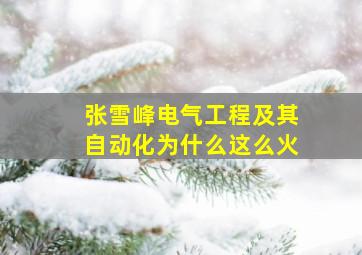 张雪峰电气工程及其自动化为什么这么火