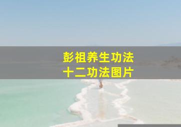 彭祖养生功法十二功法图片