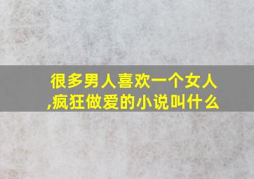 很多男人喜欢一个女人,疯狂做爱的小说叫什么