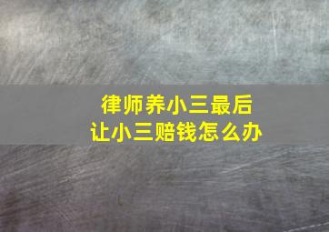 律师养小三最后让小三赔钱怎么办