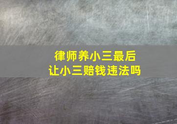 律师养小三最后让小三赔钱违法吗