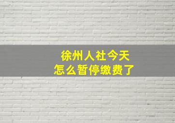 徐州人社今天怎么暂停缴费了