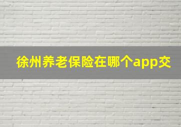 徐州养老保险在哪个app交