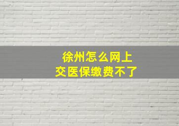 徐州怎么网上交医保缴费不了