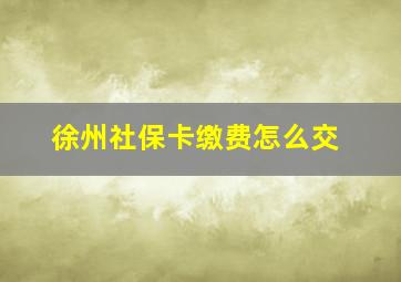 徐州社保卡缴费怎么交