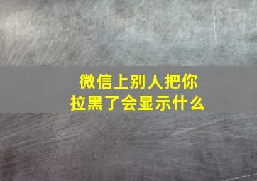 微信上别人把你拉黑了会显示什么