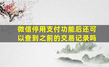 微信停用支付功能后还可以查到之前的交易记录吗