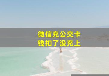 微信充公交卡钱扣了没充上