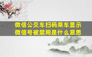 微信公交车扫码乘车显示微信号被禁用是什么意思