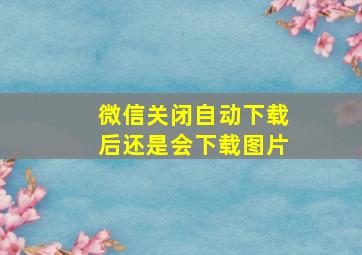 微信关闭自动下载后还是会下载图片