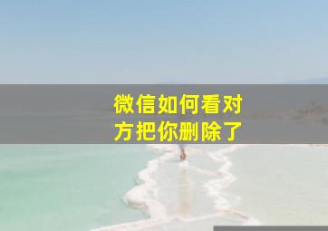 微信如何看对方把你删除了