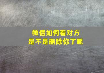 微信如何看对方是不是删除你了呢