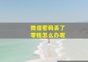 微信密码丢了零钱怎么办呢