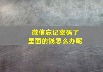 微信忘记密码了里面的钱怎么办呢