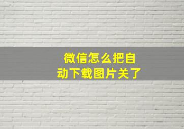 微信怎么把自动下载图片关了