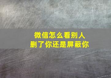 微信怎么看别人删了你还是屏蔽你