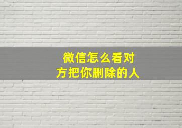 微信怎么看对方把你删除的人