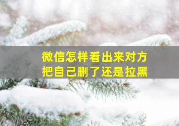 微信怎样看出来对方把自己删了还是拉黑