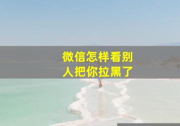 微信怎样看别人把你拉黑了