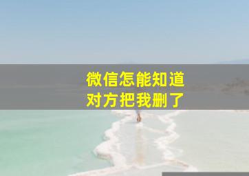 微信怎能知道对方把我删了