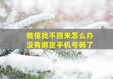 微信找不回来怎么办没有绑定手机号码了