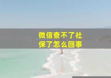 微信查不了社保了怎么回事