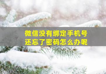 微信没有绑定手机号还忘了密码怎么办呢