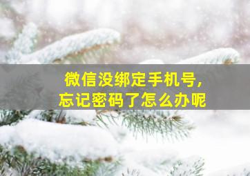 微信没绑定手机号,忘记密码了怎么办呢