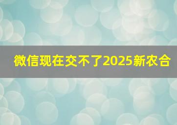 微信现在交不了2025新农合