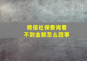 微信社保查询看不到金额怎么回事